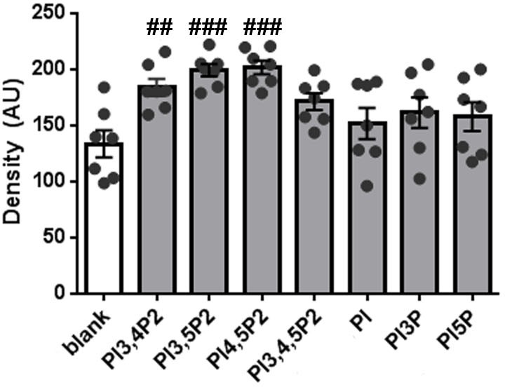 Figure 5—figure supplement 1.