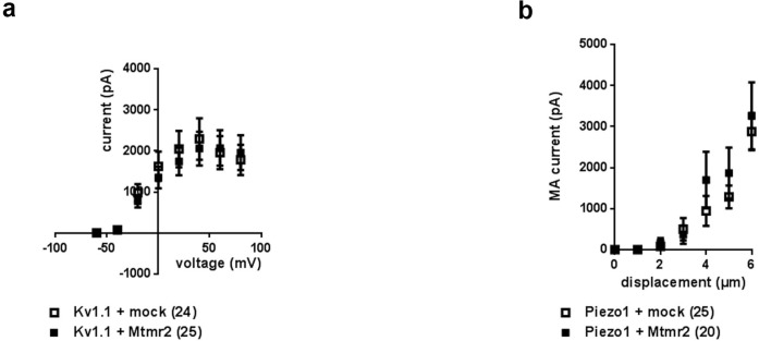 Figure 1—figure supplement 2.