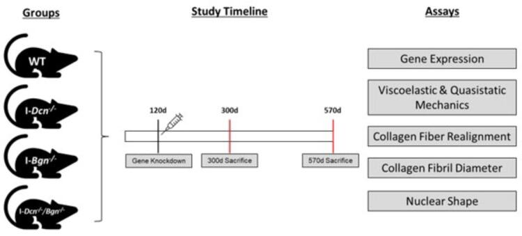 Supplementary Figure 1