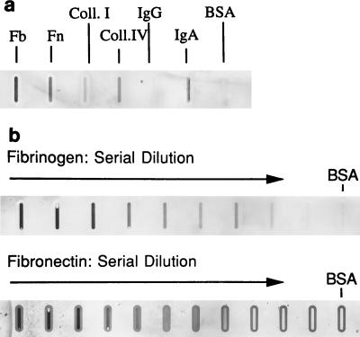 FIG. 7