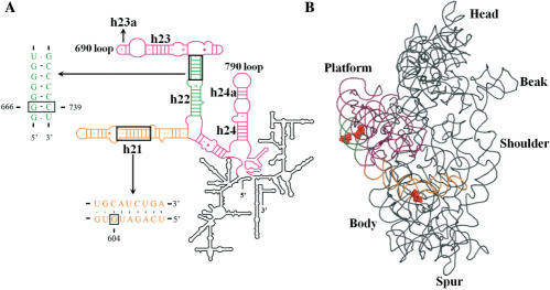 Figure 6.