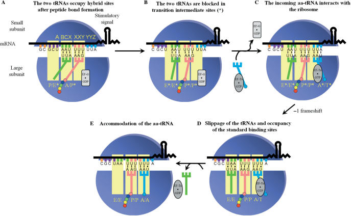 Figure 7.