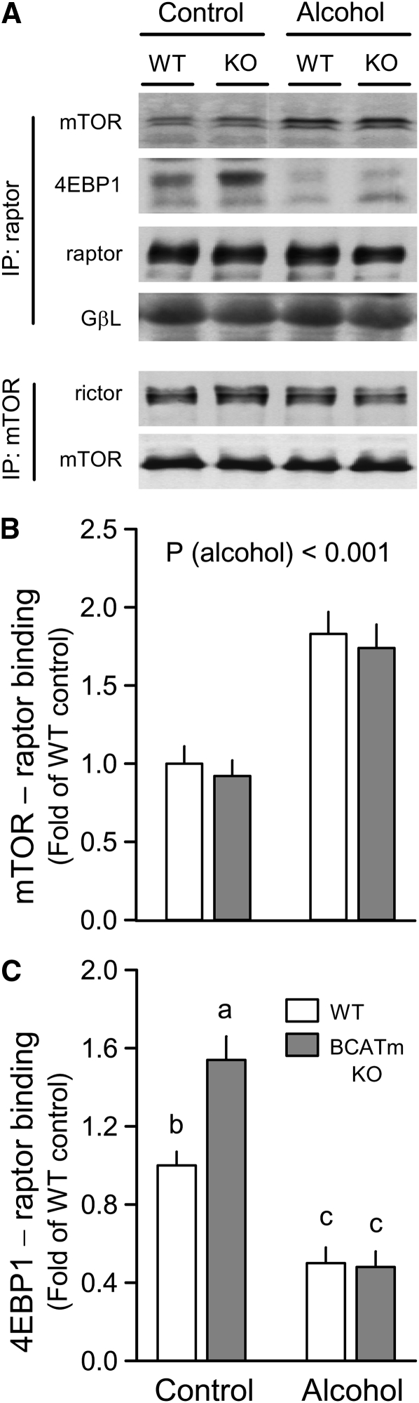 FIGURE 3 