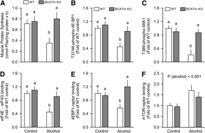 FIGURE 4 