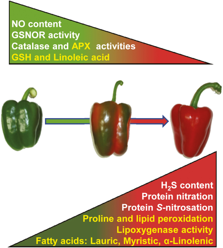 Fig. 8.