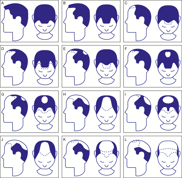 graphic file with name sjaa037f0001.jpg