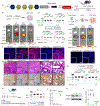 Fig. 4 |