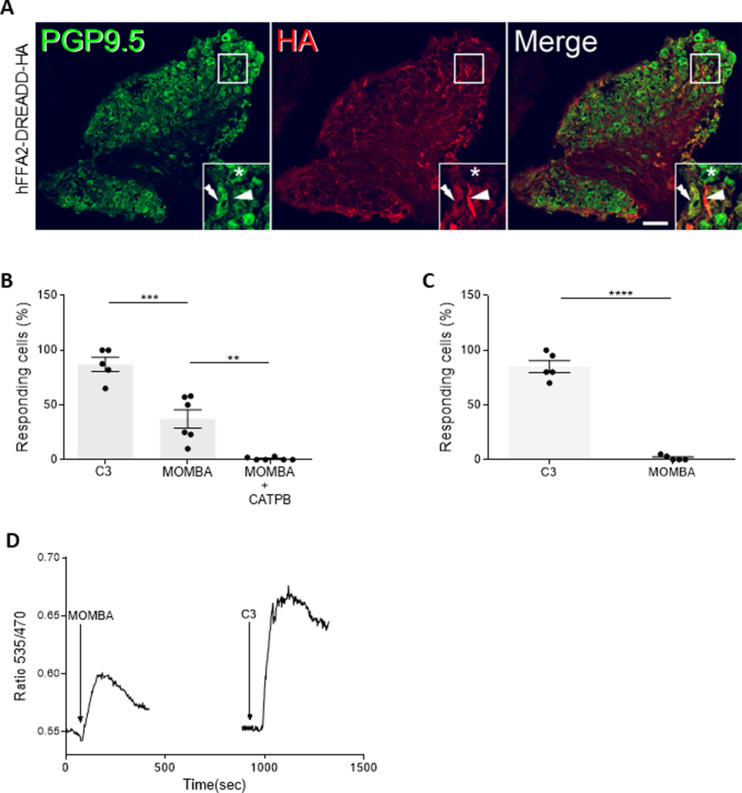 Figure 4—figure supplement 1.