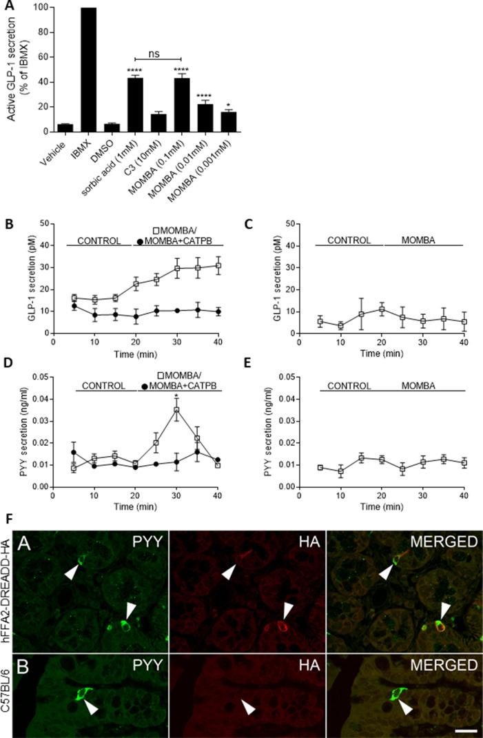 Figure 2—figure supplement 1.