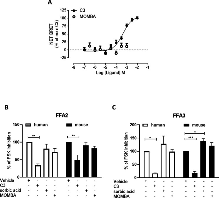 Figure 1—figure supplement 2.