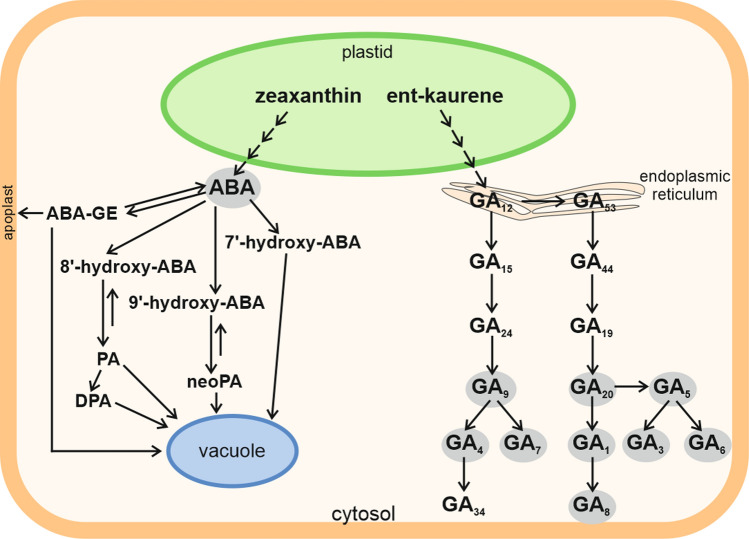 Fig. 1