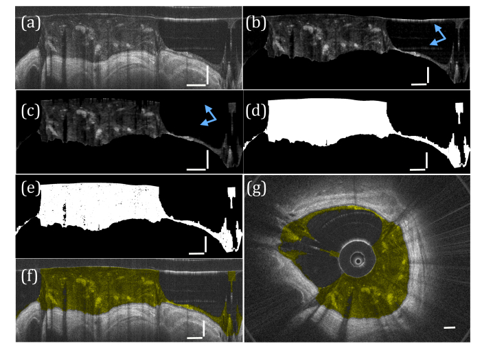 Fig. 4