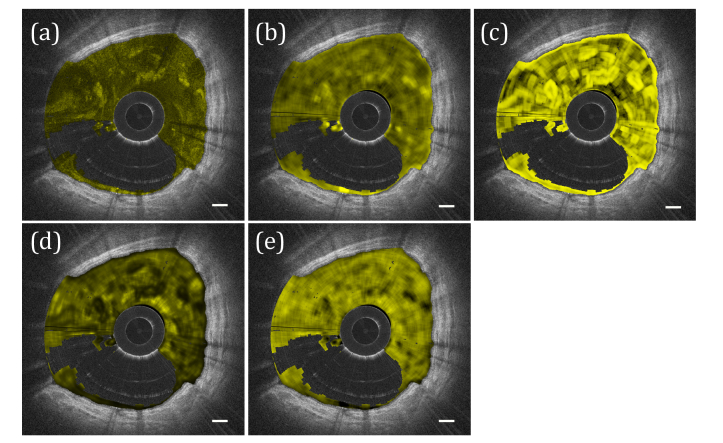 Fig. 5