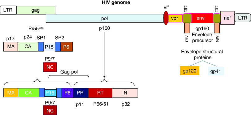 Figure 2. 