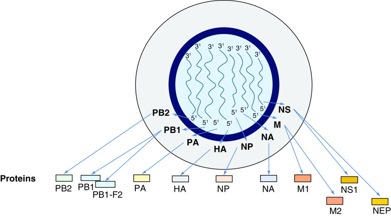 Figure 4. 