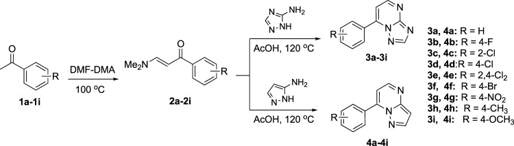 SCHEME 1
