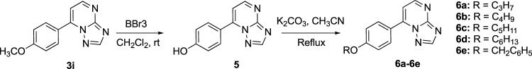 SCHEME 2