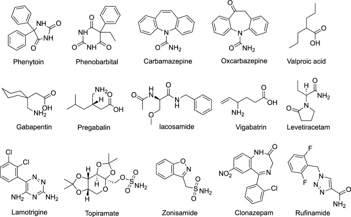 FIGURE 1