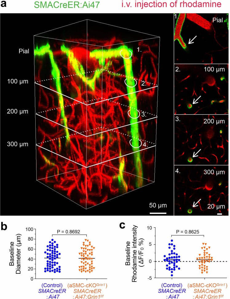 Extended Data Fig. 9