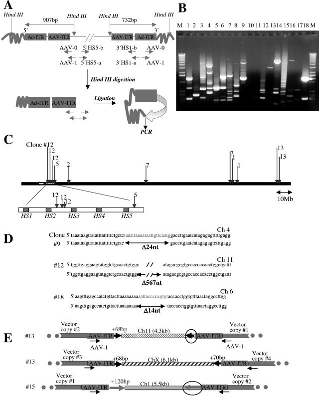 FIG. 4.