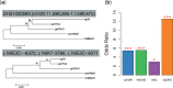 <sc>Fig</sc>. 1