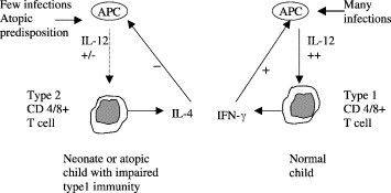 Virus infections, wheeze and asthma - PMC