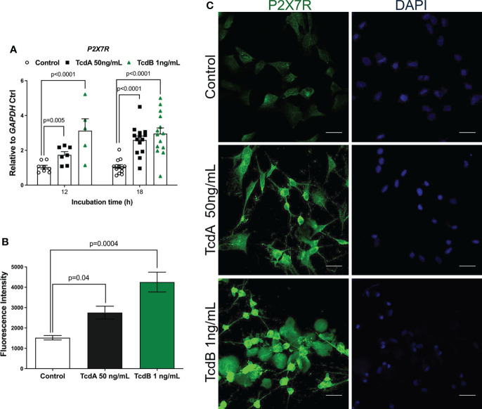 Figure 4