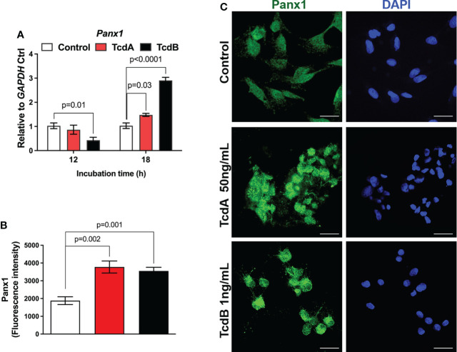 Figure 2