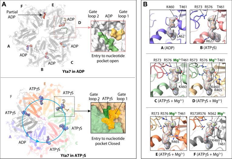 Figure 4