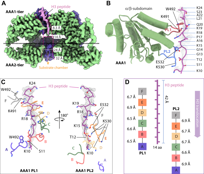Figure 3