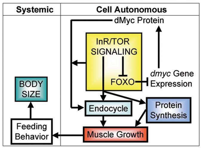 Fig. 8.