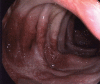 Fig. 3.