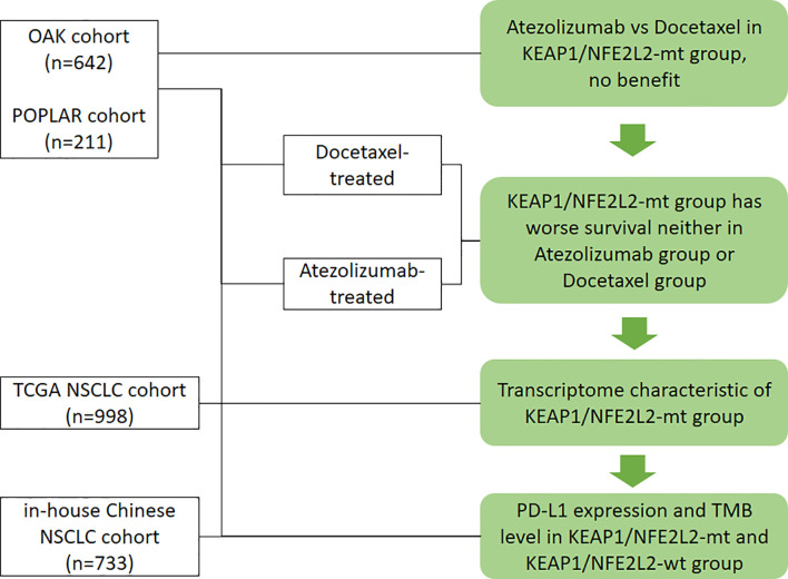 Figure 1