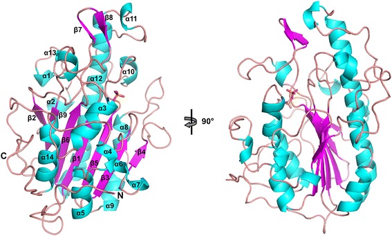 Fig. 2