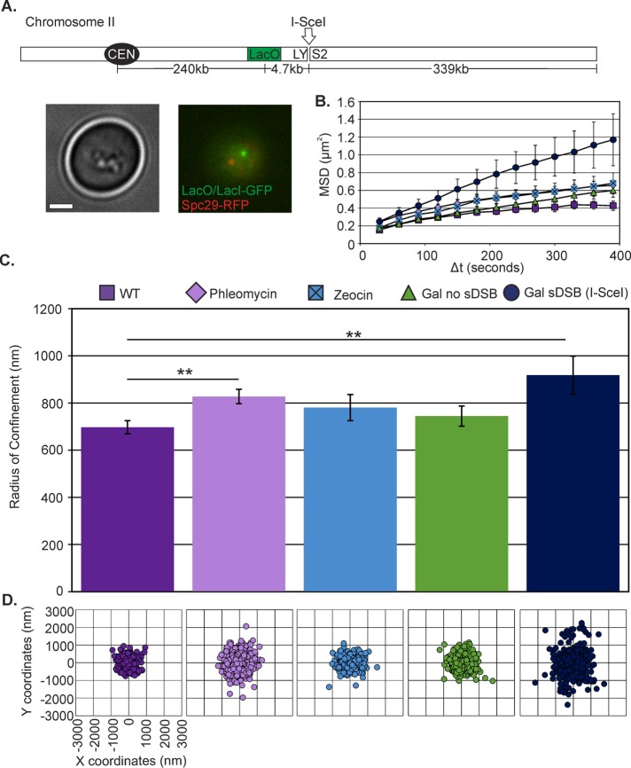 FIGURE 1: