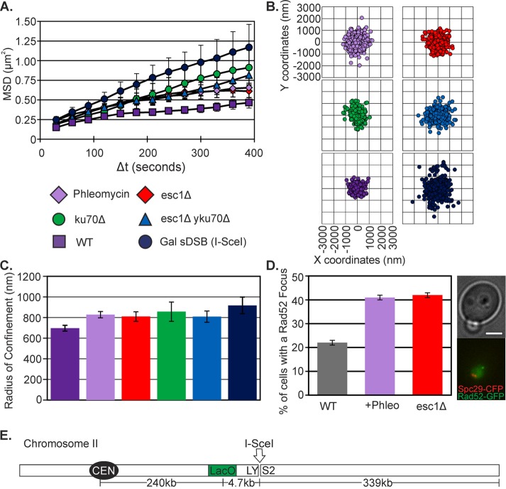 FIGURE 4: