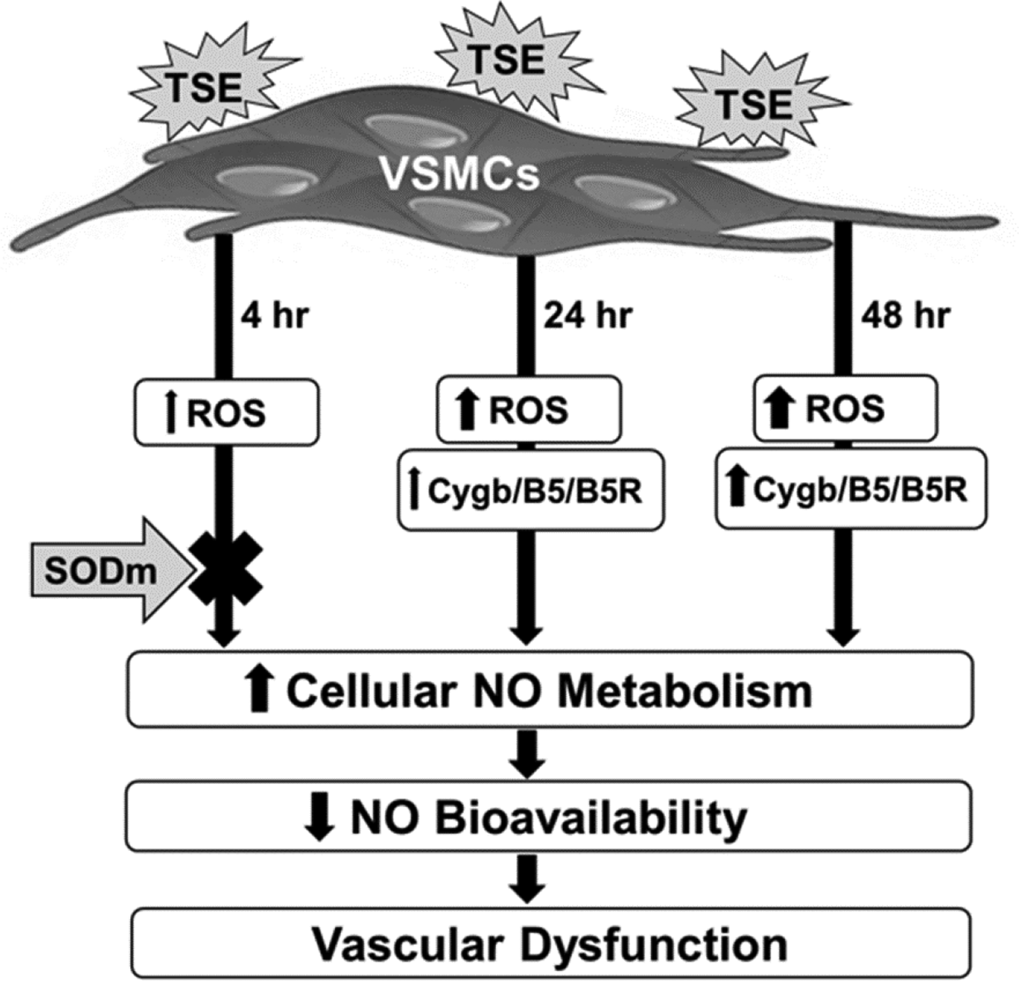 Figure 10.