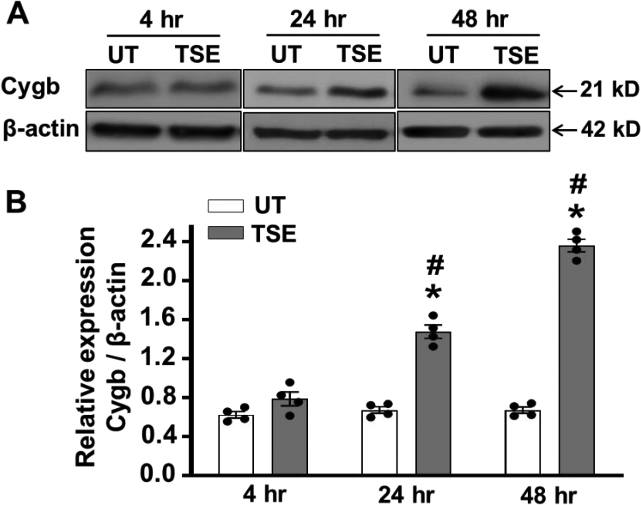 Figure 4: