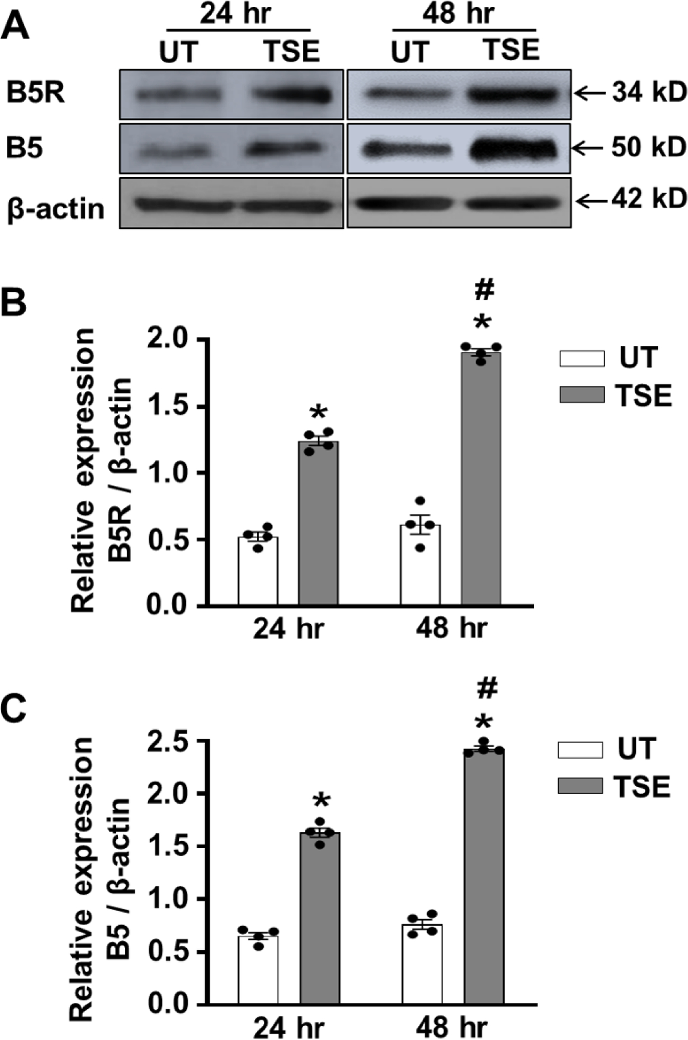 Figure 5: