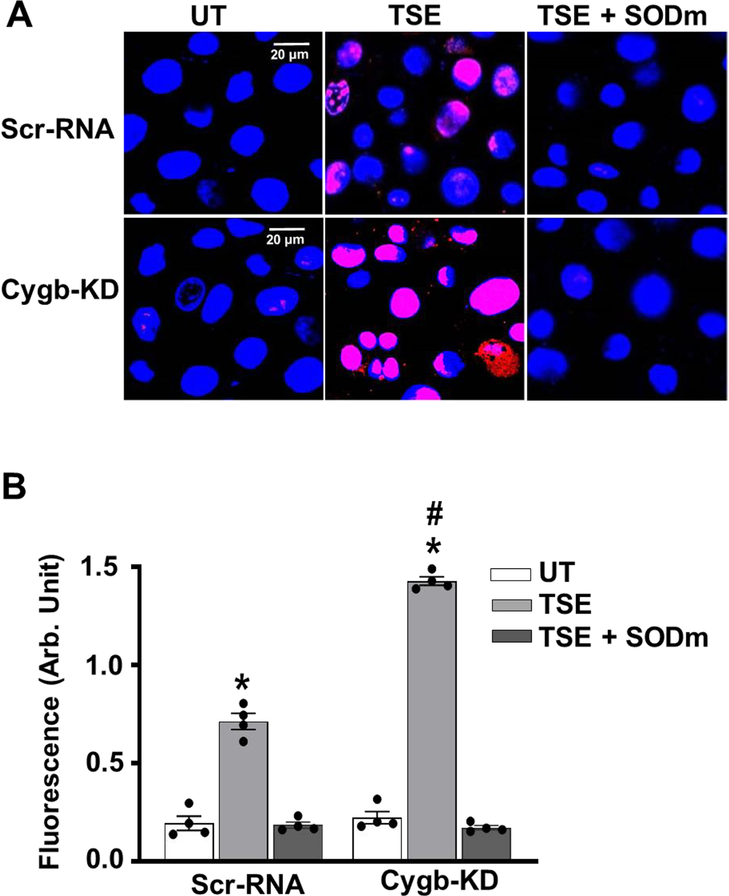 Figure 9: