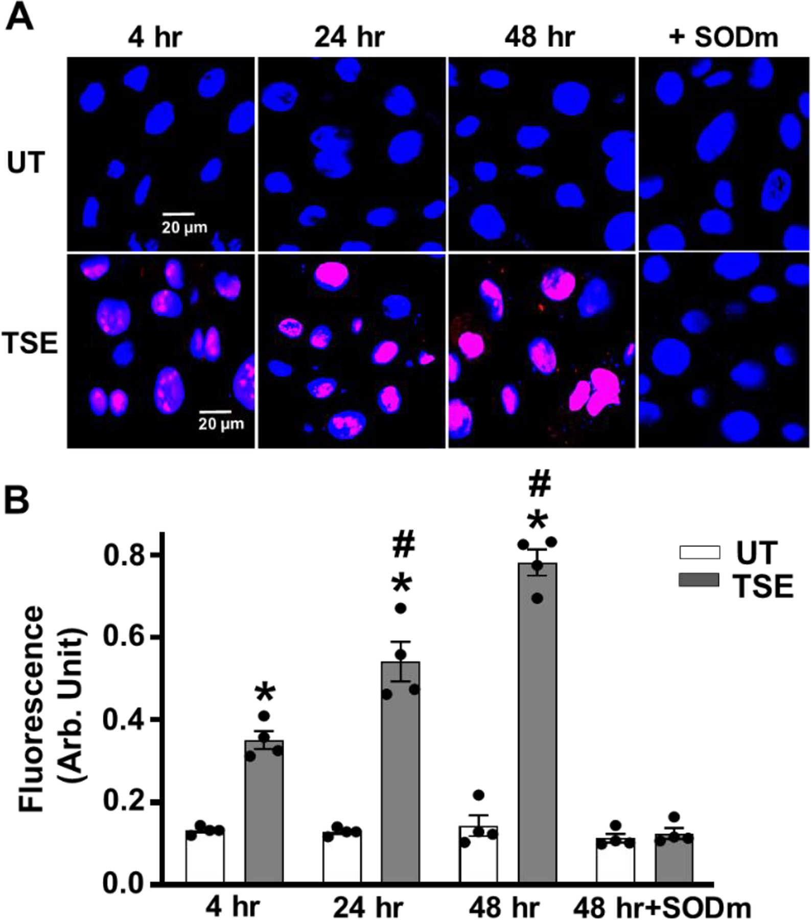 Figure 3: