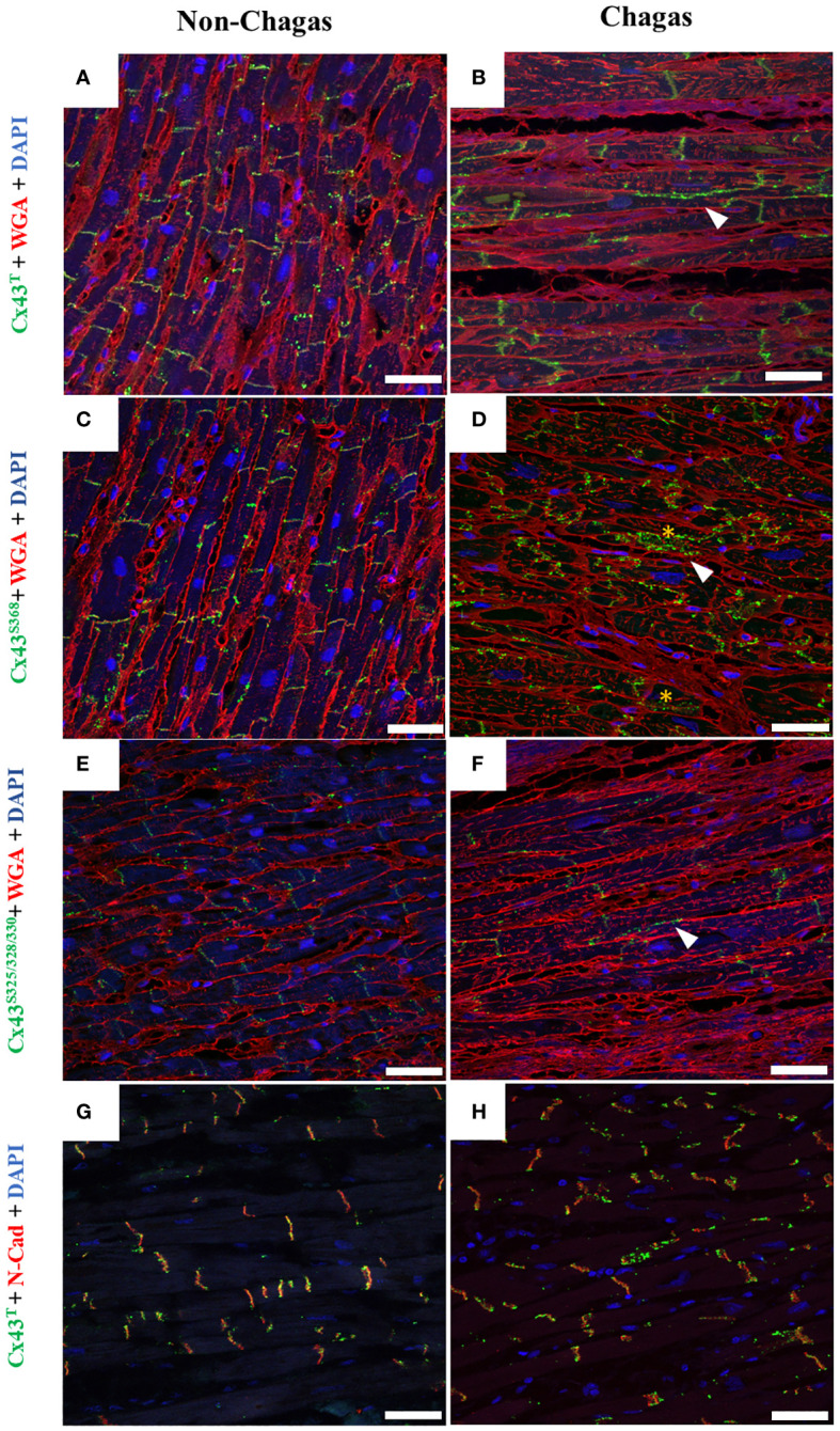 Figure 6