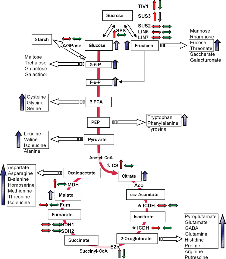 Fig. 6.