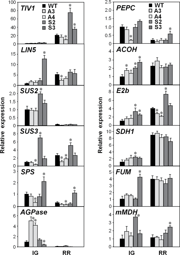 Fig. 3.