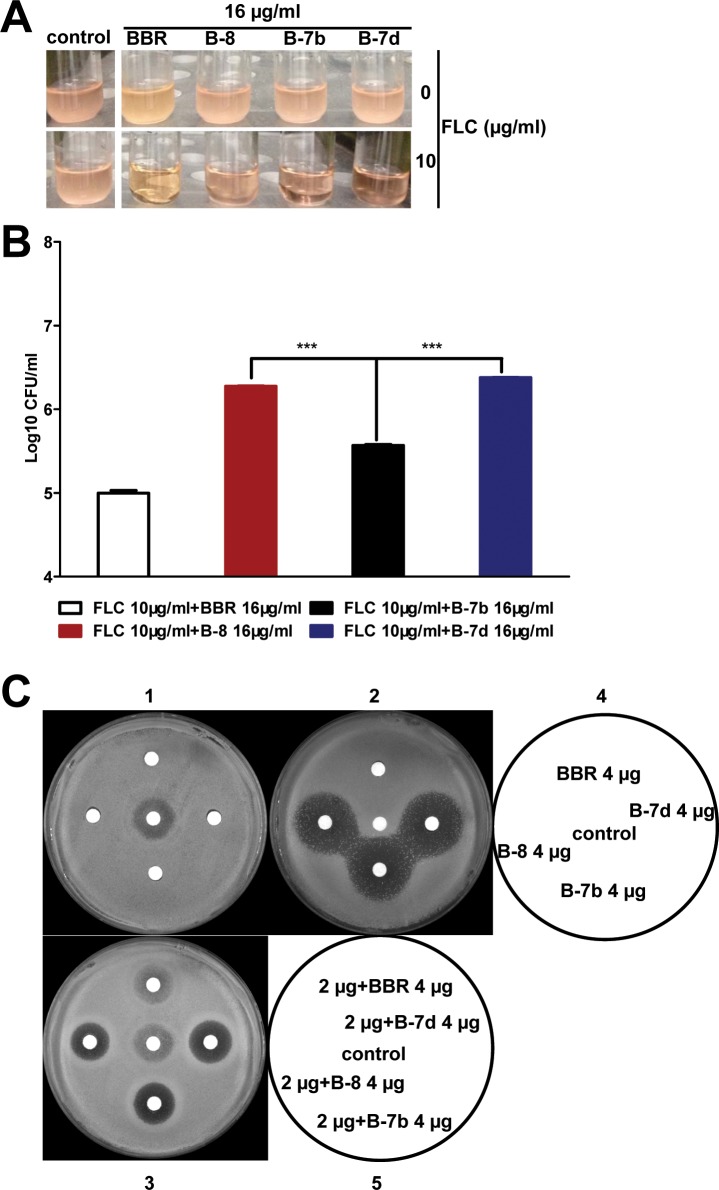 Fig 2