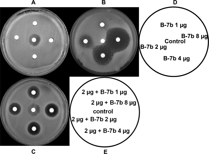 Fig 4