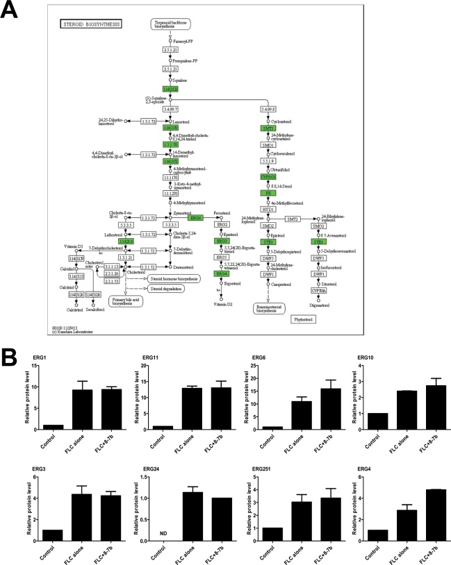 Fig 7