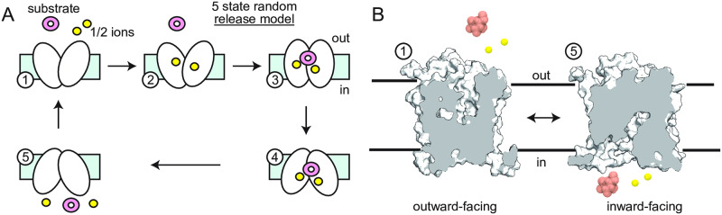 Fig 2