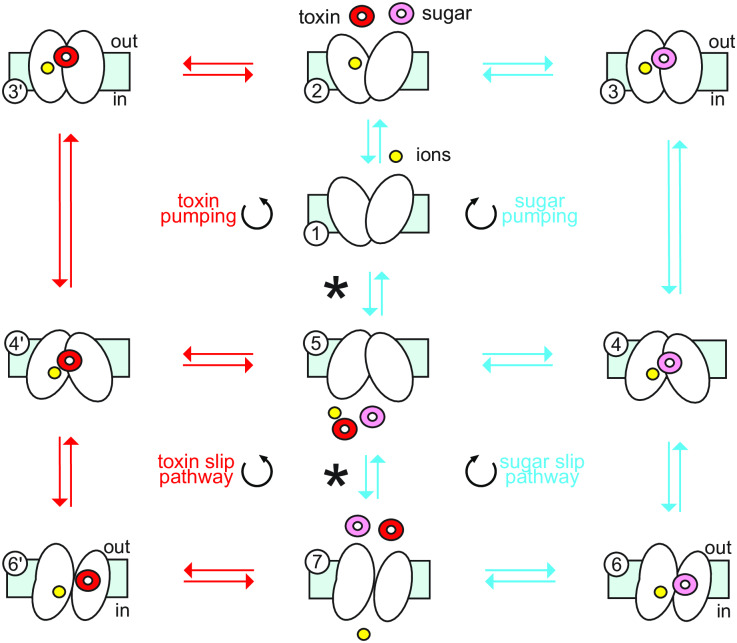 Fig 3