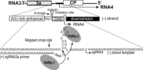 FIG. 4.